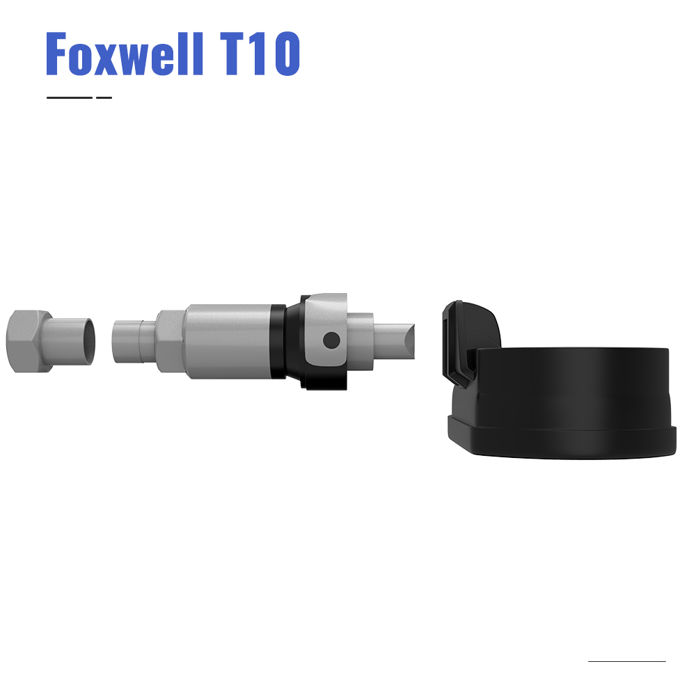foxwell t10 (10).jpg